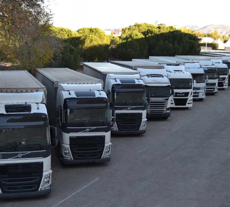 21 vehículos con antigüedad media inferior a 2 años